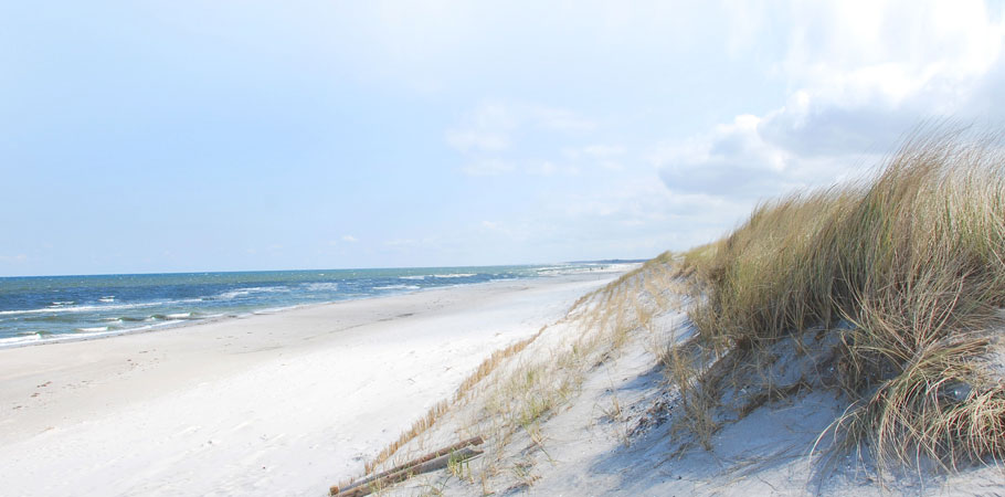 Blick auf den Strand.